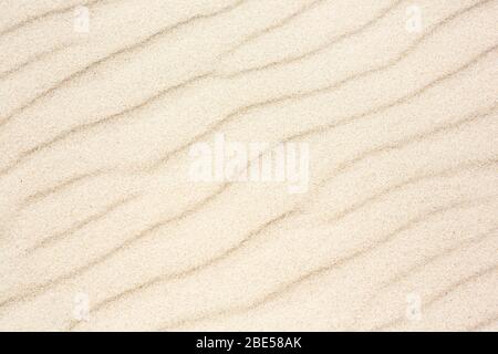 Sand as background texture. Close Up of wavy pattern of the wind. Close up horizontal composition. Stock Photo
