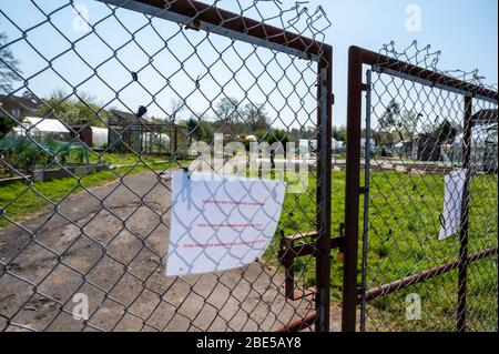 Coronavirus warning note on the gate to a garden allotment near America Lane in Haywards Heath, West Sussex, England at Easter 2020. Stock Photo