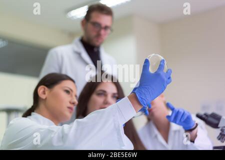 Group of  Laboratory scientists working at lab with test tubes, test or research in clinical laboratory.Science, chemistry, biology, medicine and peop Stock Photo