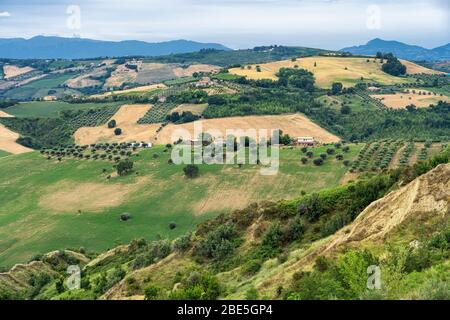 Natural Park of Atri, Teramo, Abruzzo, Italy: landscape of calanques at summer Stock Photo