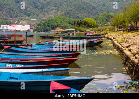 Before my trek to Anapurna Base Camp I took my time and strolled around Phewa Lake in Pokhara, Nepal. Those boats got my attention. Stock Photo