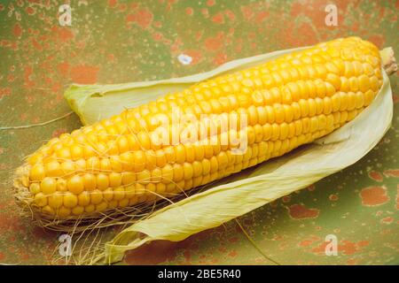 Boiled corn with tops. Yellow agriculture organic vegetarian fresh summer food close up Stock Photo