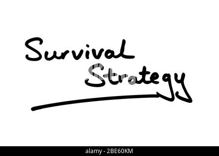 Survival Strategy handwritten on a white background. Stock Photo