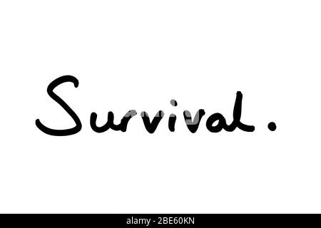 The word Survival handwritten on a white background. Stock Photo