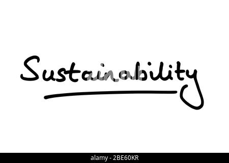 The word Sustainability handwritten on a white background. Stock Photo