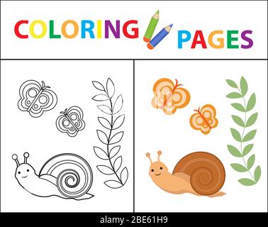 Coloring book page for kids. Snail plant and butterfly. Sketch outline and color version. Childrens education. illustration. Stock Photo