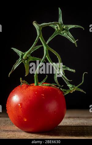 Single tomato on the vine. Stock Photo