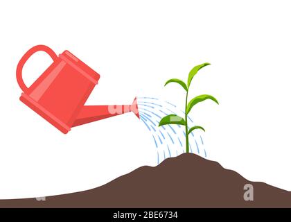 Young plant with watering can and water drops, Isolated On White Stock Vector