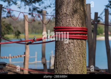 A knotted rope in a large tree. Macro climbing white rope tied to