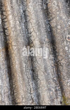 Sheet of corrugated steel which has seen better days. Stock Photo