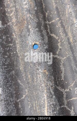 Sheet of corrugated steel which has seen better days and fixing bolt hole. Stock Photo
