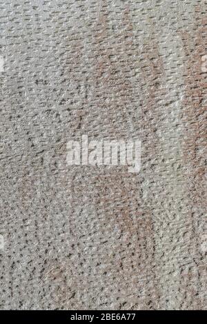 External chased cement or plasterwork wall covered in green and red mildew, in spring sunshine causing a myriad of shadowed holes. Irregular pattern. Stock Photo