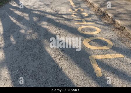 Yellow school keep clear zone area painted on tarmac outside school entrance on a sunny spring morning. No parking, drop-offs, pick-ups allowed. Stock Photo