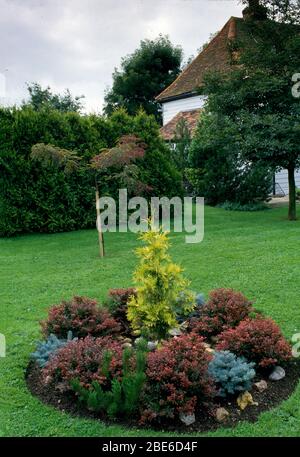 Small cicrular bed of heathers and dwarf conifers in large lawn in large country or suburban garden. Stock Photo