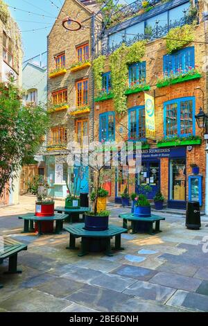 : A view of colourful buildings in Neals Yard during the day. Stock Photo