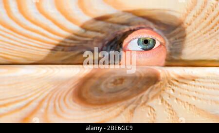 Male person hide behind a wooden wall. An eye looks through a gap in the wall. A man behind a wooden wall looks through a hole. Concept: surveillance Stock Photo