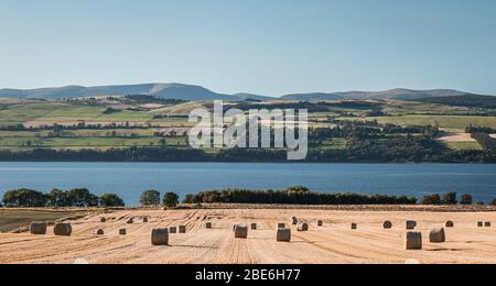 Freshly harvested hay bales on scenic fields in the North Highlands of Scotland - panoramic view Stock Photo