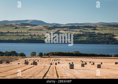 Freshly harvested hay bales on scenic fields in the North Highlands of Scotland Stock Photo