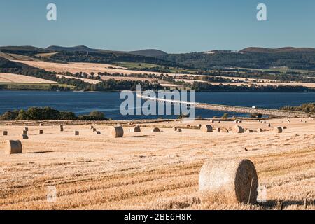 Freshly harvested hay bales on scenic fields in the North Highlands of Scotland Stock Photo