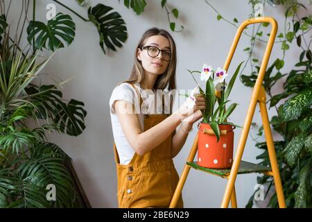 Young woman gardener in glasses wearing overalls, taking care for orchid in old red milk can standing on orange vintage ladder, looking at camera. Hom Stock Photo