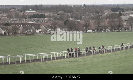 Newmarket Town in England is the racehorse capital of the world for breeding and training, dating back 350 years. It is seen on Warren Hill. Stock Photo