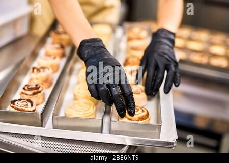Small Business. Young woman in apron and gloves arranging cinnamon rolls on tray close-up Stock Photo