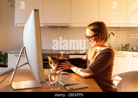 Smiling woman freelancer is distracted by the game with cat while working on computer from home office during quarantine due to coronavirus. Cozy offi Stock Photo
