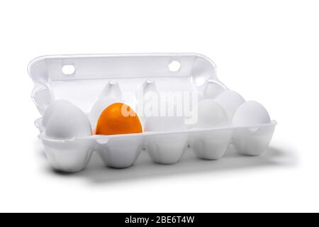 nine white eggs and one golden yellow are packed together in one egg crate on a wooden table surface Stock Photo