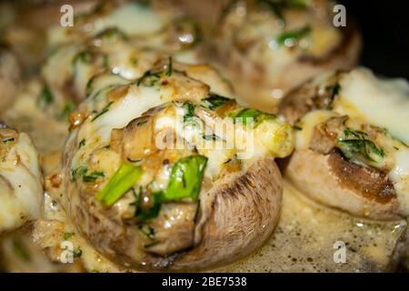 Mushrooms baked in the oven with cheese, green onions and dill. Close up Stock Photo