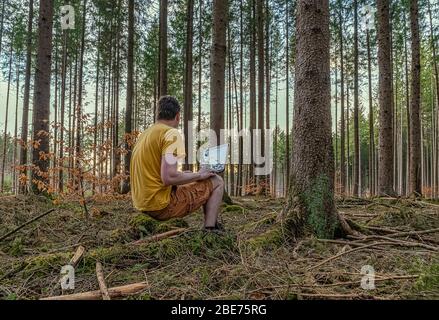 Enjoying work on the fresh air, a man works with his laptop in a natural looking forest. Stock Photo