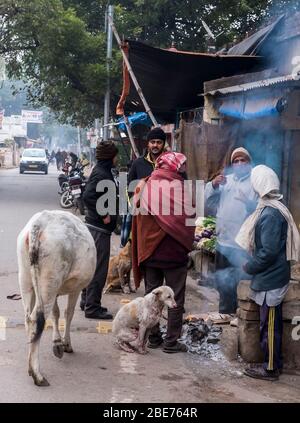 group of people, cow and a dog gathering around small fire during winter in India Stock Photo