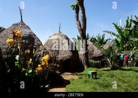 Dorze Tribe Huts in a tropical Setting Stock Photo