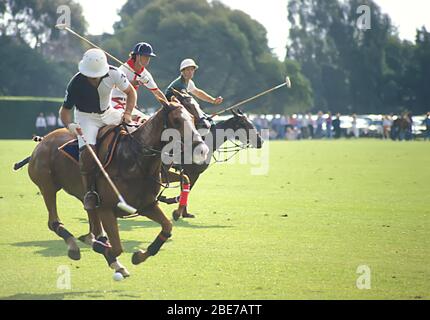 Polo players on horseback during match, Buenos Aires, Argentina Stock Photo