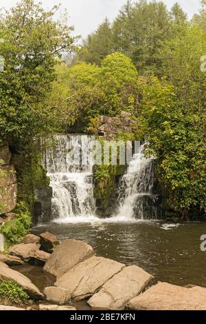 Waterfall on River Llan, Penllergare Valley Woods, Penllergaer, Swansea, South Wales, UK Stock Photo