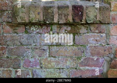 Weathered old wall looking damp with mould growth Stock Photo