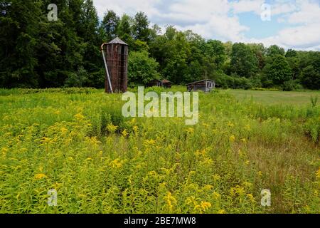 Old grain silo at abandonned farm in Upstate New York Stock Photo