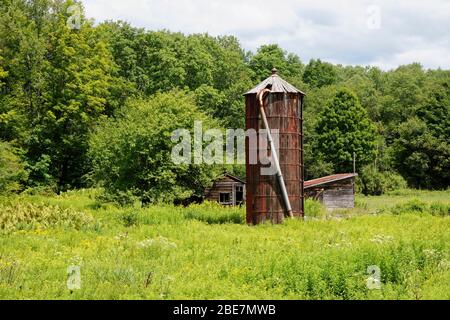 Old grain silo at abandonned farm in Upstate New York Stock Photo