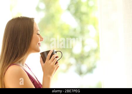 Side view portrait of a satisfied woman smelling coffee cup standing next to the window at home Stock Photo