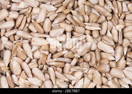 Sunflower seeds taken closeup suitable as food background. Stock Photo