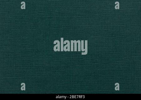 Abstract green paper background. High quality paper texture. Stock Photo