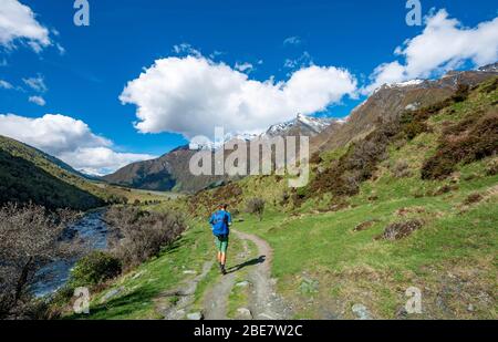 Hiker on trail to Rob Roy Glacier, Rob Roy Stream, Mount Aspiring National Park, Otago, South Island, New Zealand