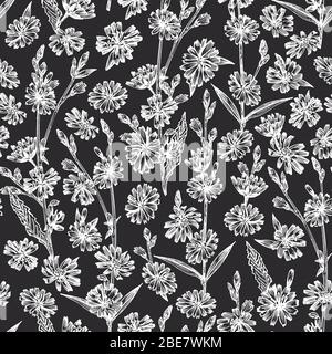 Seamless pattern with Realistic Botanical chalk sketch of chicory flowers, isolated on chalkboard background, floral herbs collection. Medicine plant. Stock Vector