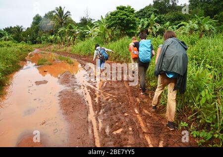 A group of tourists walk along a muddy road with a guide near the village of Chi Pat, Cardamom Mountains, Cambodia Stock Photo