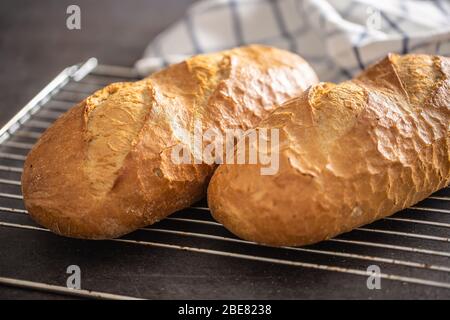 Two loafs of hot baked bread on an oven grid with a towel in the background. Stock Photo