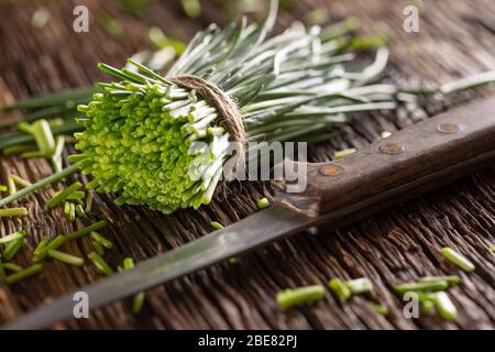 Cut bunch of chives wrapped in a jute twine laying on rustic wooden surface next to a knife. Stock Photo
