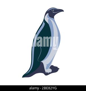 Vector cartoon style illustration of penguins. Isolated on white background. Stock Vector