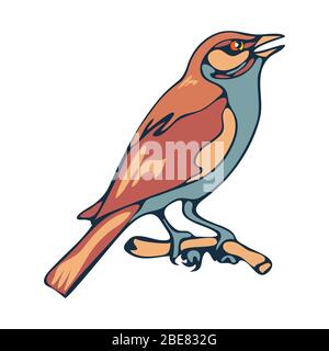 Sparrow, a small city bird. Illustration in the cartoon style. Vector isolated image on a white background. Stock Vector