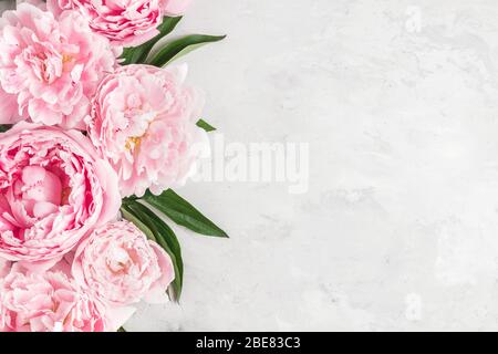 Flowers composition. Border made of pink peony flowers on white background. Flat lay. top view with copy space Stock Photo