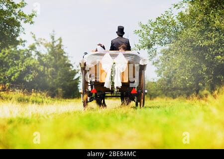 Horse carriage wedding in garden, Great Britain Newly-wed couple in a black, horse-drawn, open carriage Beautiful sunny day Stock Photo