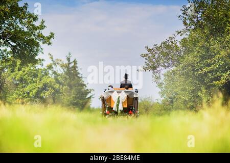 Horse carriage wedding in garden, Great Britain Newly-wed couple in a black, horse-drawn, open carriage Beautiful sunny day Stock Photo